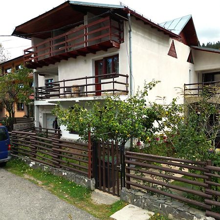 Vila Nik Buşteni Εξωτερικό φωτογραφία