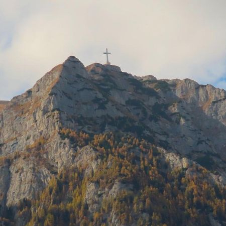 Vila Nik Buşteni Εξωτερικό φωτογραφία