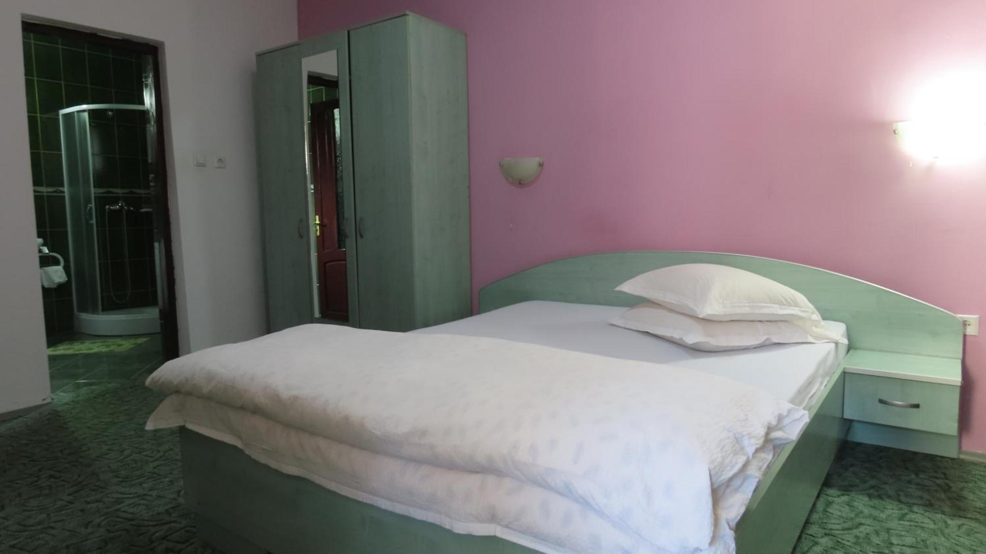 Vila Nik Buşteni Εξωτερικό φωτογραφία